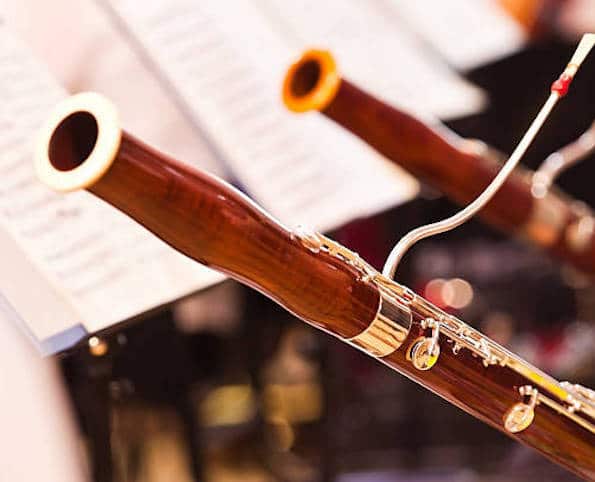 Fragment bassoons in a symphony orchestra